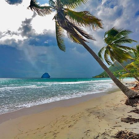 Malilia Beach A Sainte-Anne - Wifi -5 Min A Pied De La Plage Ngoại thất bức ảnh