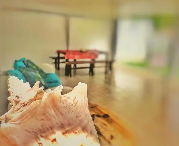 Malilia Beach A Sainte-Anne - Wifi -5 Min A Pied De La Plage Ngoại thất bức ảnh
