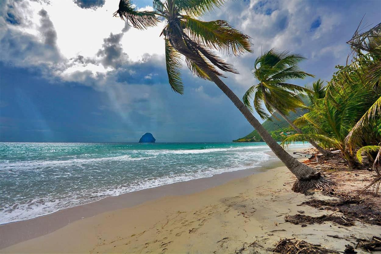Malilia Beach A Sainte-Anne - Wifi -5 Min A Pied De La Plage Ngoại thất bức ảnh